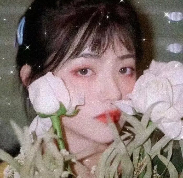 《疯狂兔宝宝》剧照
